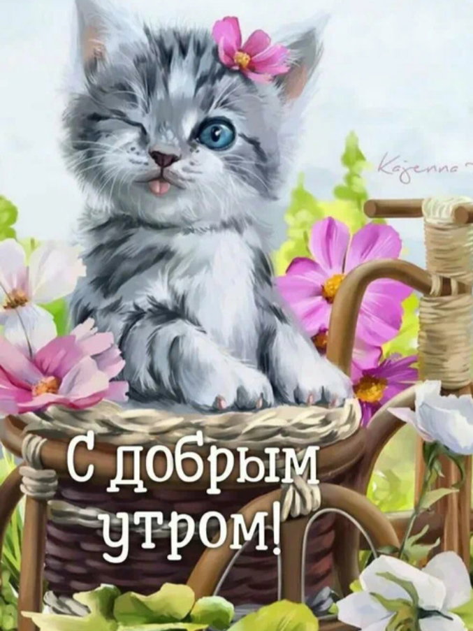 🖼