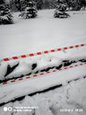 🖼