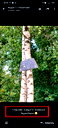 🖼