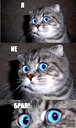 🖼