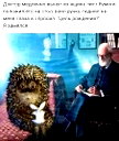 🖼