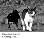 🖼