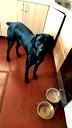 🖼