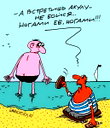 🖼