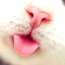 🖼