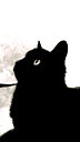 🖼