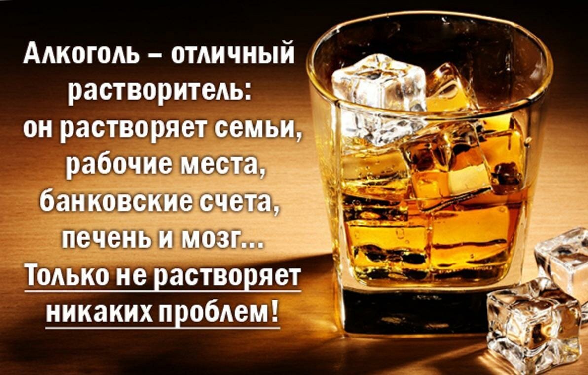 Алкоголь до добра не доведёт