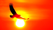 🖼