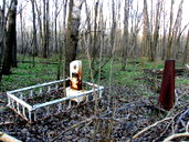 🖼
