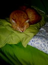 🖼