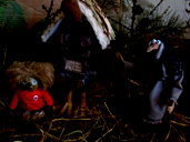 🖼