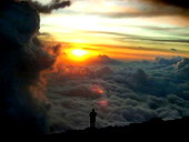 🖼