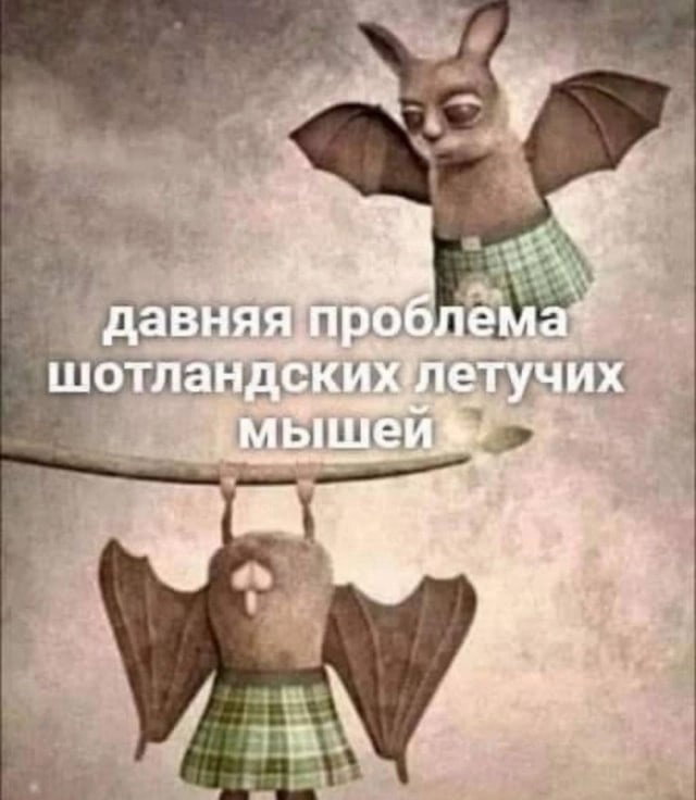 🖼
