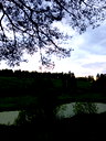 🖼