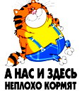 🖼