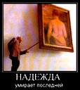 🖼