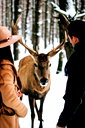 🖼