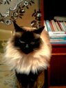 🖼