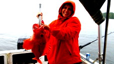 🖼