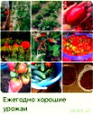 🖼