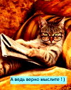 🖼
