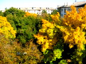 🖼