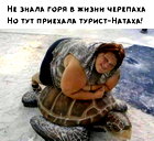 🖼