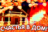 🖼