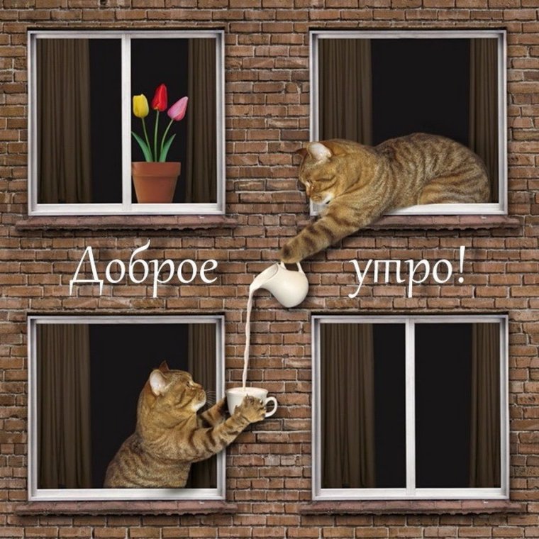 🖼