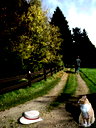 🖼