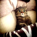 🖼