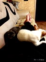 🖼
