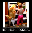 🖼