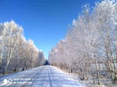🖼