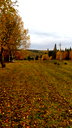 🖼
