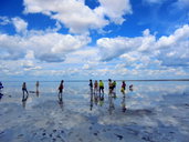 🖼