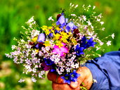 🖼