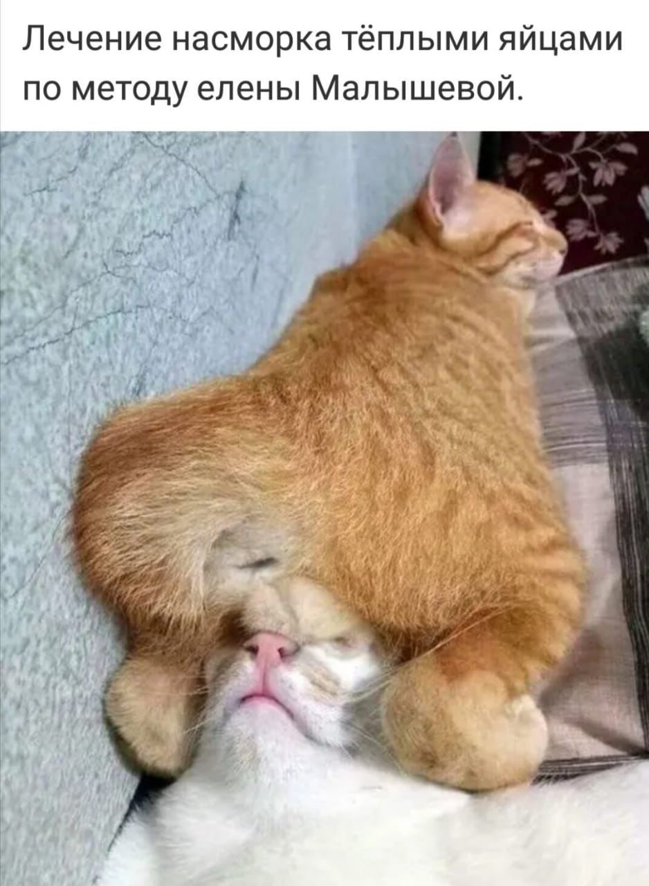 🖼