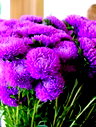 🖼