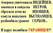 🖼
