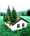 🖼