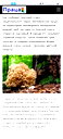 🖼