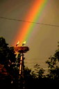 🖼