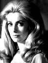 🖼