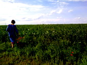 🖼