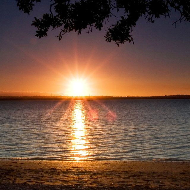 Вячеслав Васильев