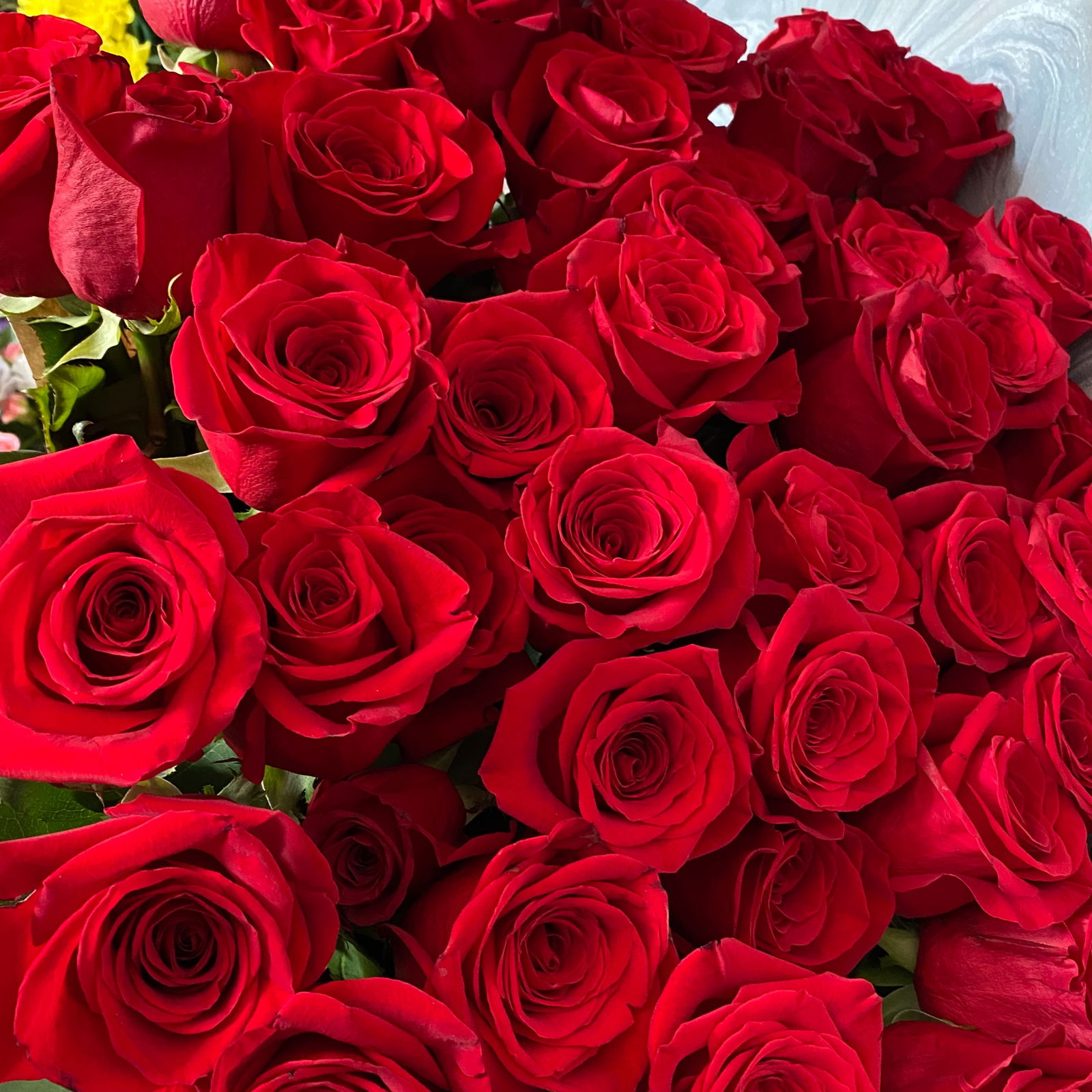 Айман Тлегенова