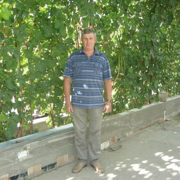 Владимир Виноградов