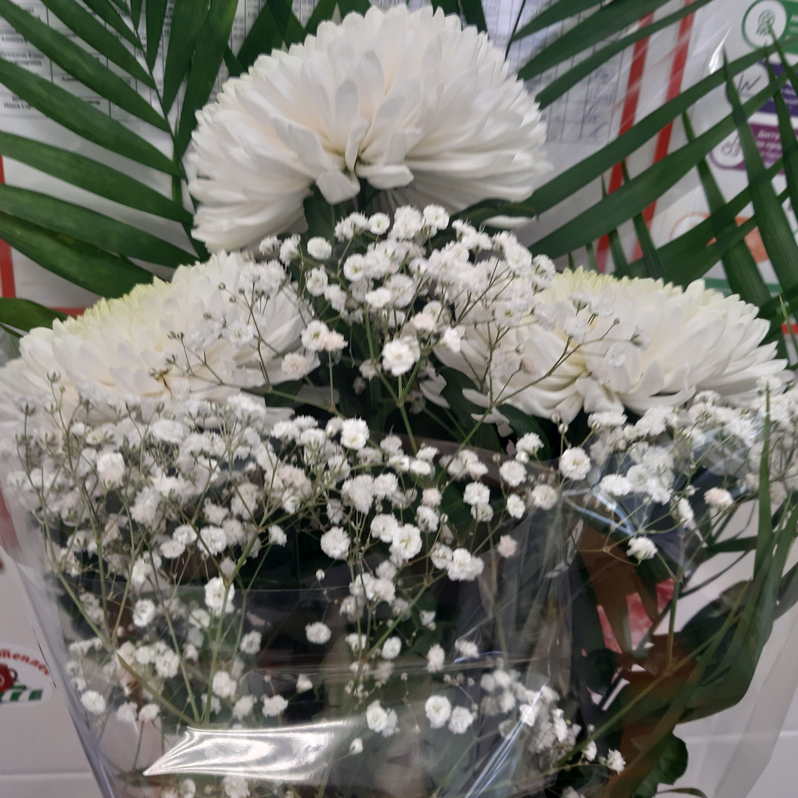 ,,Лелик,, .......