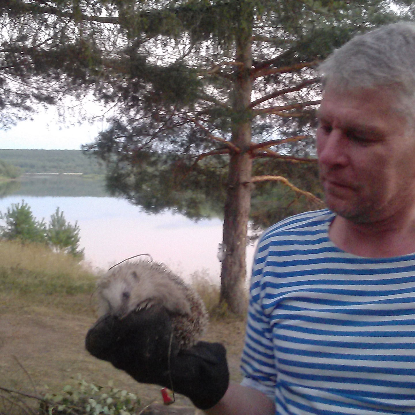 Вячеслав Малышев